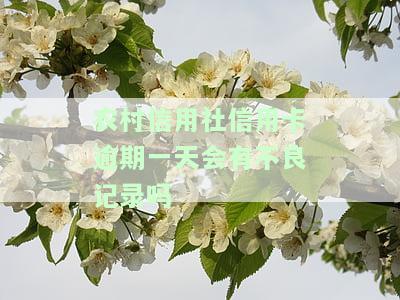 农村信用社信用卡逾期一天会有不良记录吗？影响及解决方法