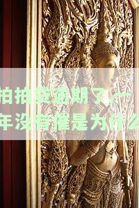 拍拍贷逾期了,一年没有催是为什么