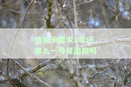 信用卡要求1号还款，1号未还是否算逾期？解决方案全解析