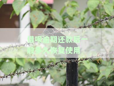 借呗逾期还款后一般多久恢复使用贴吧，解答你的疑惑：借呗逾期还款后多久能恢复正常使用？