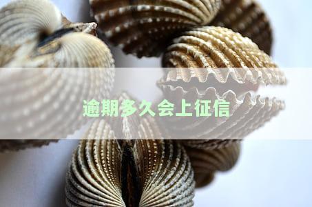 网贷逾期多久会上征信，网贷逾期多长时间会被记录在个人征信中？