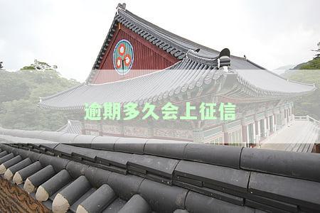 信用卡逾期多久会上征信？了解不同银行的处理方式与消除时间