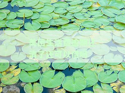 美团生活费逾期还清了还可以借吗-美团生活费逾期还清了还可以借吗安全吗