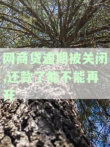 网商贷逾期被关闭后还款，能否再次开通及获取征信报告？