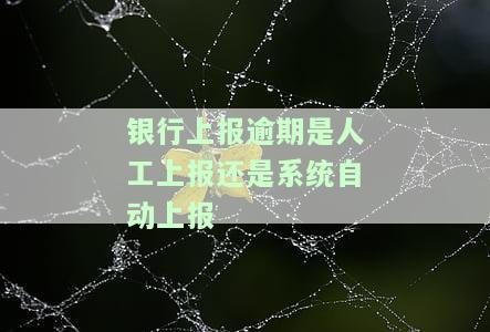 银行逾期一直说上报，揭秘银行逾期处理流程：为何总是说上报？