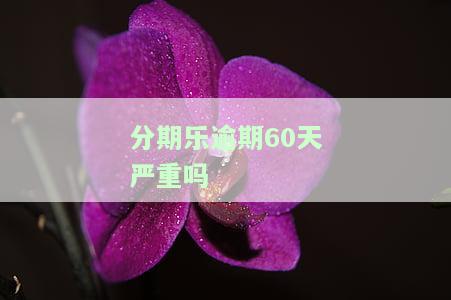 分期乐逾期160多天会被起诉吗？已还款2000多，剩余欠款该怎么办？