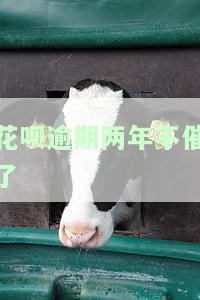 花呗逾期快两年，如何处理收到的律师函、起诉警告及协商还款请求？