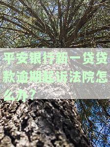 平安新一贷逾期起诉刑事责任：认定、后果与应诉全解析