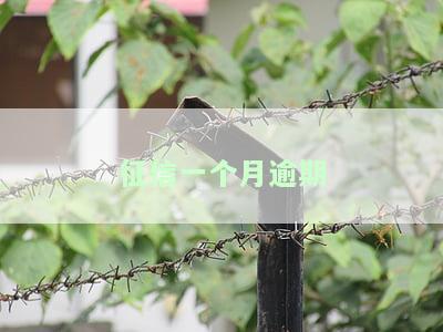 征信一个月逾期三次：后果严重，有何影响？与逾期一个月、三个月的区别是什么？
