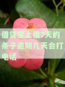 借贷宝7天条子平台发短信，警惕！借贷宝被曝存在7天条子平台，用户需谨对待发送的短信