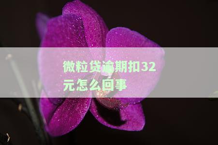 微粒贷逾期扣款最多几次，了解微粒贷：逾期扣款次数限制