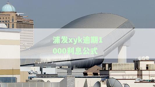 欠浦发85000逾期一年，逾期一年，欠浦发85000仍未偿还