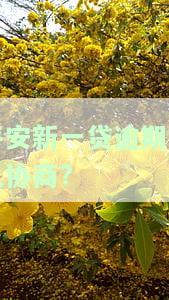 平安新一贷逾期几天对征信影响，平安新一贷逾期天数与征信记录的关系