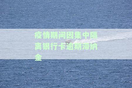 疫情期间因集中隔离银行卡逾期滞纳金怎么计算，疫情期间集中隔离导致银行卡逾期，滞纳金如何计算？