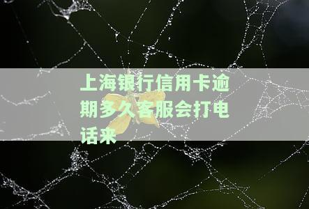 上海银行信用卡逾期多久客服会打电话来