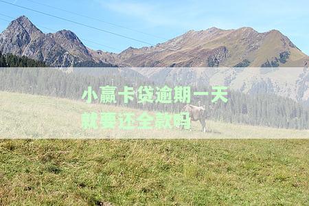 小赢卡贷逾期一天就要还全款吗安全吗，小赢卡贷：逾期一天是否需要偿还全款？安全风险如何？