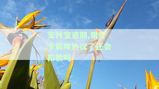 支付宝逾期,银行卡解除协议了还会扣款吗