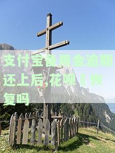支付宝备用金逾期影响花呗多久恢复使用？