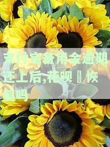 支付宝备用金逾期还上后,花呗螚恢复吗