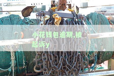 小花钱包逾期,被起诉y