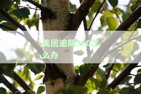 美团逾期100多天：真的被起诉了吗？财产保全需要多久？诉前通知函有法律效力吗？逾期后果严重吗？如何处理？分期还款是否会关闭？