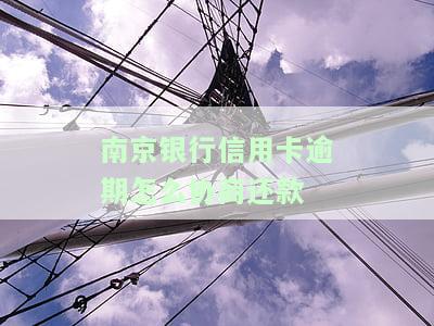 南京银行信用卡逾期怎么协商还款