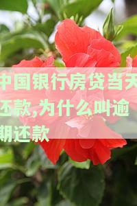 中国银行房贷当天还款,为什么叫逾期还款