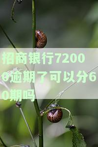 招商银行72000逾期了可以分60期吗
