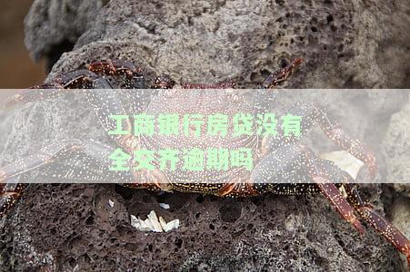 工商银行房贷没有全交齐逾期吗会怎么样，未全交齐工商银行房贷会导致逾期吗？影响是什么？