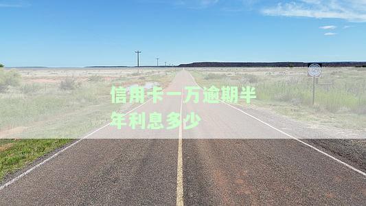 1万信用卡逾期半年会产生多少费用？超过期限未还款会有什么后果？