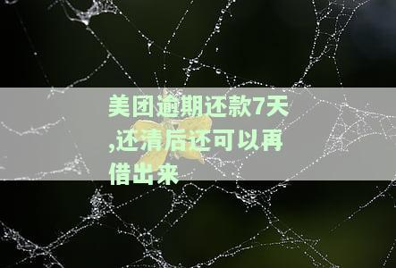 美团逾期还款7天,还清后还可以再借出来