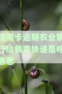 信用卡逾期农业银行为何给我寄快递？