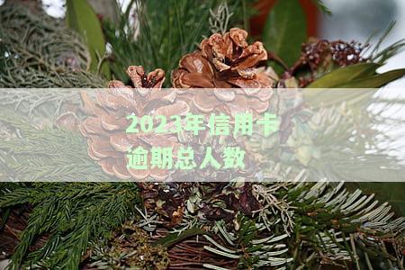 2023年信用卡逾期总人数