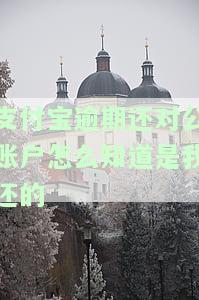 支付宝催收交还对公账户
