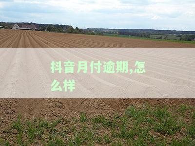 抖音月付逾期怎么样还款，抖音钱包借款逾期