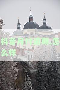 抖音月付逾期，怎么样还款最划算？