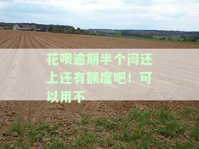 花呗逾期半个月影响花呗使用吗？