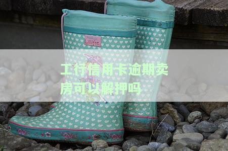 工行信用卡逾期卖房可以解押吗-工行信用卡逾期卖房可以解押吗现在