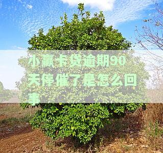 小赢卡贷逾期几天会暴力催收，小赢卡贷逾期暴力催收：安全防的必知关键