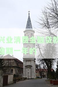 兴业消费金融贷款逾期一年的利息及影响