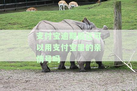 支付宝逾期后还可以用支付宝里的亲情号吗安全吗