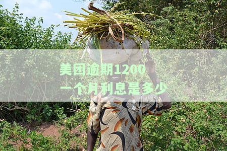 美团欠钱3250逾期一个多月要还多少，美团逾期一个多月欠款3250元，还款额度如何计算？