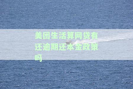 美团生活算网贷有还逾期还本金政策吗安全吗？逾期影响及解析