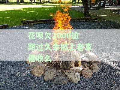 花呗欠2000逾期过久会被上老家催收吗？