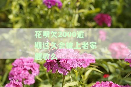 花呗逾期2000会上门吗，花呗逾期2000元，会有上门催收吗？