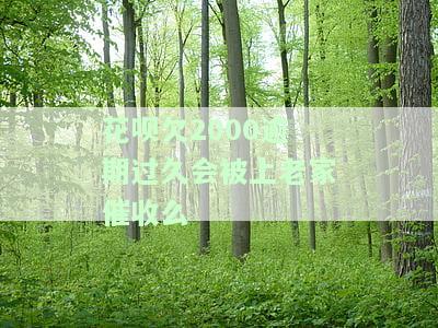 花呗欠款2000元逾期多长时间会被起诉？