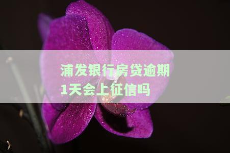 浦发银行房贷逾期一天会怎么样处理？