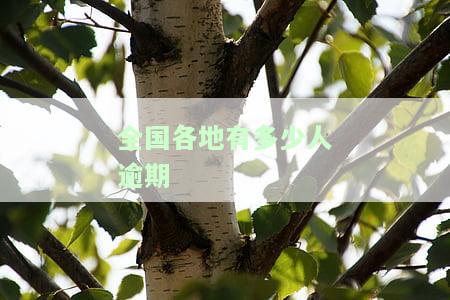 全国多少人逾期2020贷款及2023贷款、网贷、信用卡，欠款金额统计