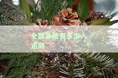 全国各地有多少人逾期
