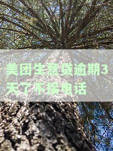 美团生意贷逾期3天了不接电话怎么办，逾期几天没事，忘记还了有影响吗？